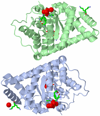 Image Asym./Biol. Unit - sites