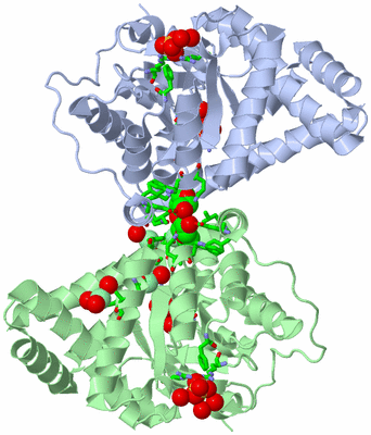 Image Asym./Biol. Unit - sites