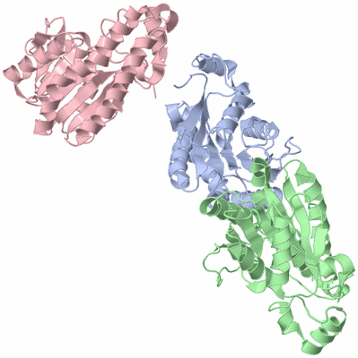 Image Asymmetric Unit