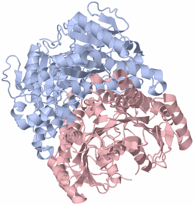 Image Biological Unit 2