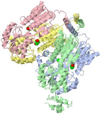 Image Asym./Biol. Unit