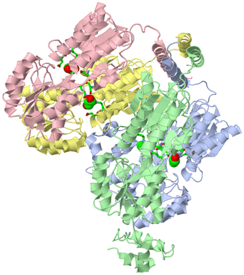 Image Asym./Biol. Unit - sites