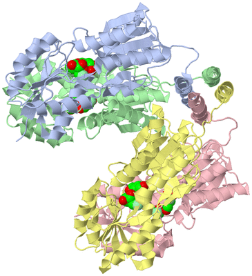 Image Asym./Biol. Unit