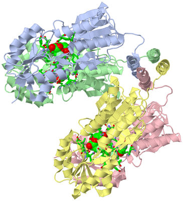 Image Asym./Biol. Unit - sites