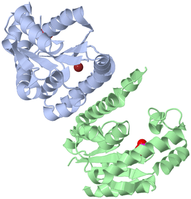 Image Asym./Biol. Unit