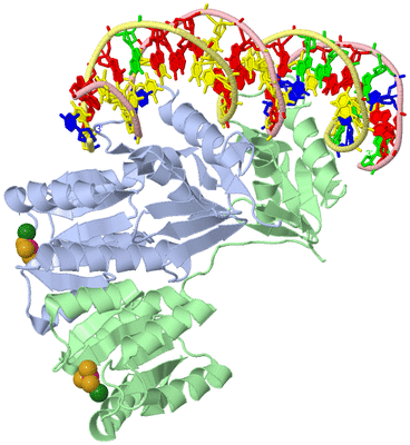 Image Biological Unit 1