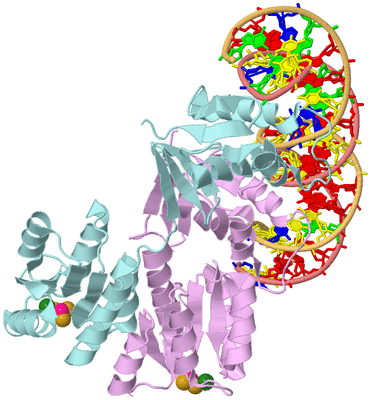 Image Biological Unit 2