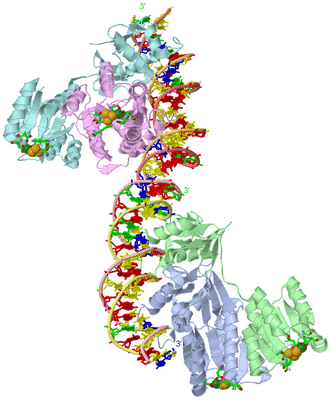 Image Asym. Unit - sites