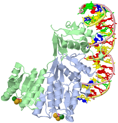 Image Asym./Biol. Unit