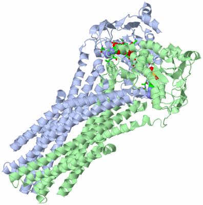 Image Asym./Biol. Unit - sites