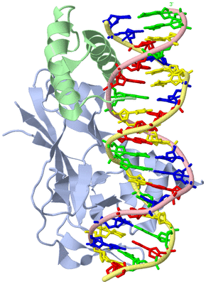 Image Biological Unit 1