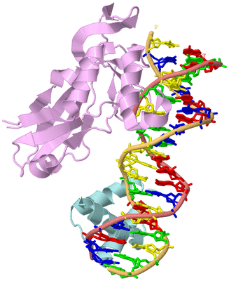 Image Biological Unit 2