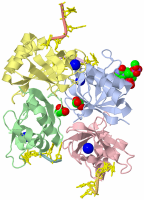 Image Asym./Biol. Unit