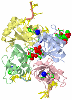 Image Asym./Biol. Unit - sites