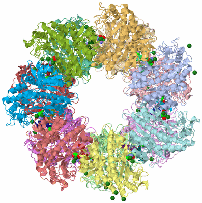 Image Asym./Biol. Unit