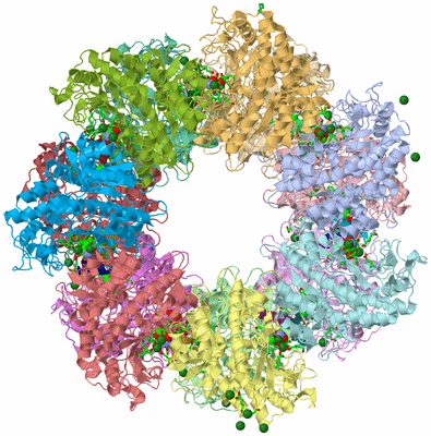 Image Asym./Biol. Unit - sites