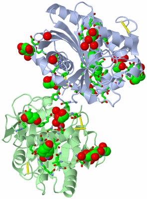 Image Asym./Biol. Unit - sites