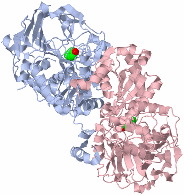 Image Biological Unit 1