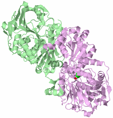 Image Biological Unit 2