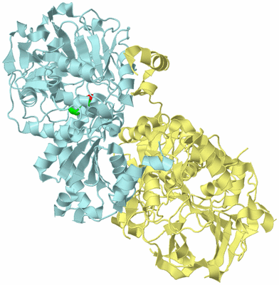 Image Biological Unit 3