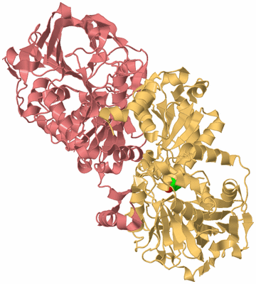 Image Biological Unit 4