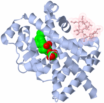 Image Biological Unit 1