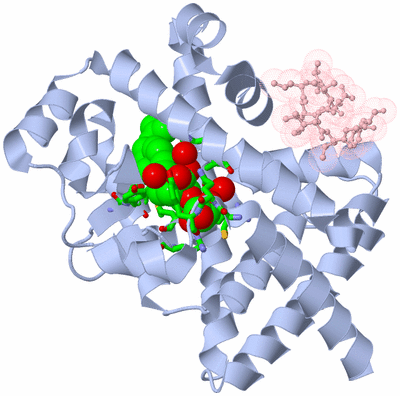 Image Biol. Unit 1 - sites