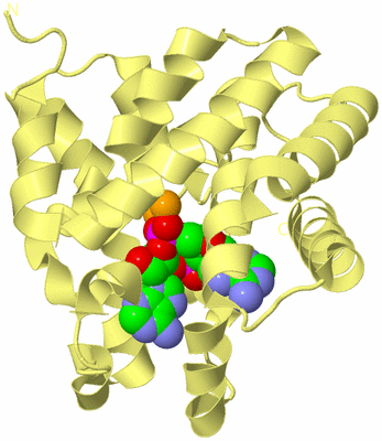 Image Biological Unit 2