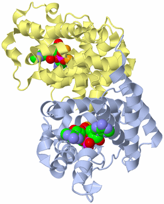 Image Biological Unit 3