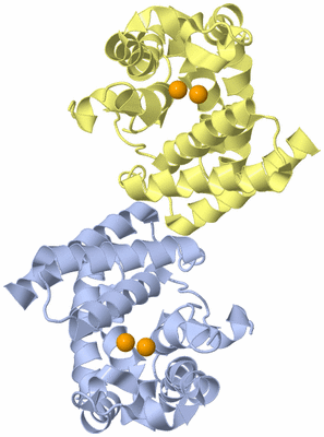 Image Biological Unit 3