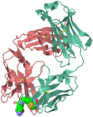 Image Biological Unit 1