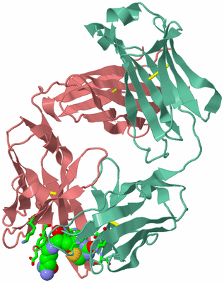 Image Biol. Unit 1 - sites