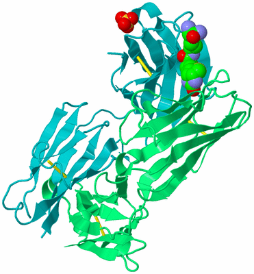 Image Biological Unit 4