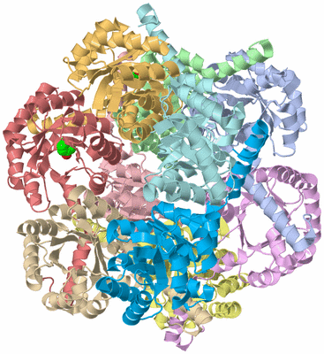 Image Biological Unit 1