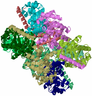 Image Biological Unit 2