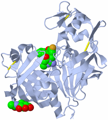 Image Biological Unit 1