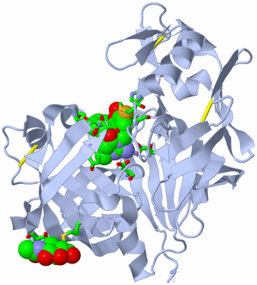 Image Biol. Unit 1 - sites