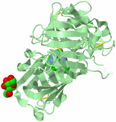 Image Biological Unit 2