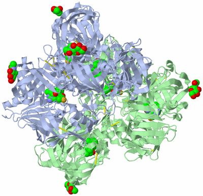 Image Biological Unit 3