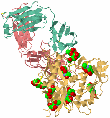 Image Asym./Biol. Unit