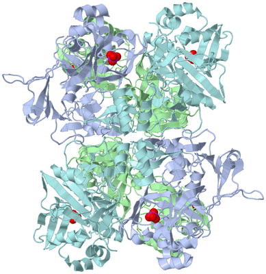 Image Biological Unit 1