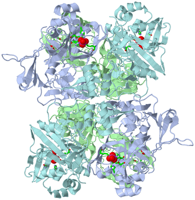 Image Biol. Unit 1 - sites