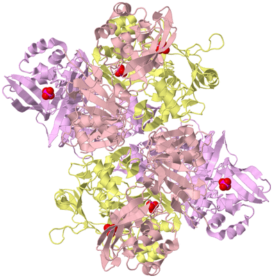 Image Biological Unit 2