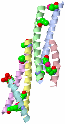 Image Asym. Unit - sites