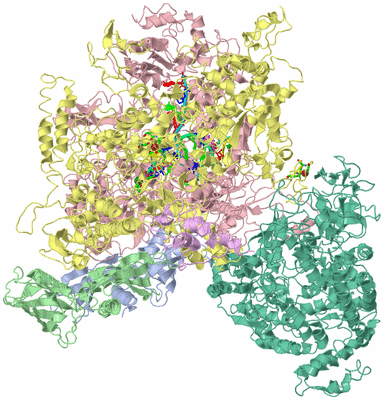 Image Biol. Unit 1 - sites