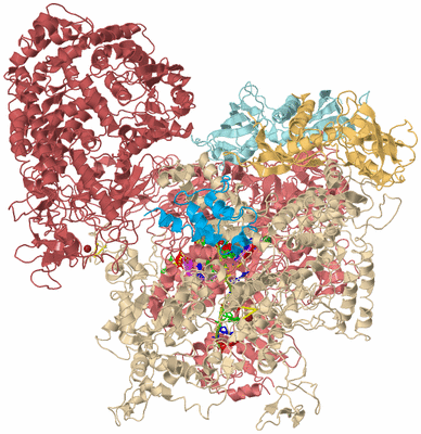 Image Biological Unit 2