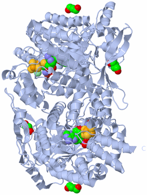 Image Biological Unit 1