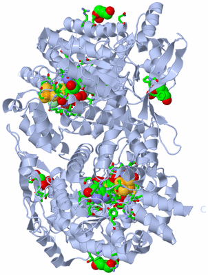 Image Biol. Unit 1 - sites