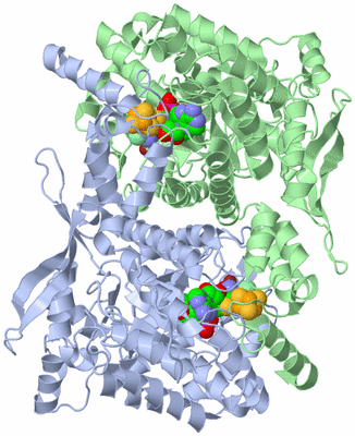 Image Asym./Biol. Unit