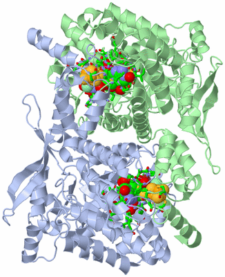 Image Asym./Biol. Unit - sites